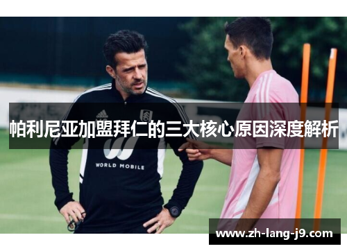 帕利尼亚加盟拜仁的三大核心原因深度解析