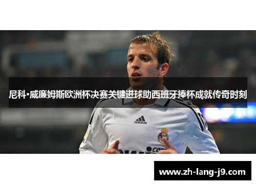 尼科·威廉姆斯欧洲杯决赛关键进球助西班牙捧杯成就传奇时刻 尼科·威廉姆斯欧洲杯决赛关键进球助西班牙捧杯成就传奇时刻