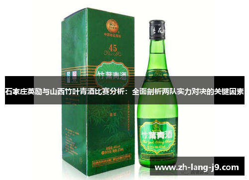 石家庄英励与山西竹叶青酒比赛分析：全面剖析两队实力对决的关键因素