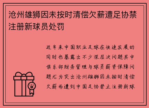 沧州雄狮因未按时清偿欠薪遭足协禁注册新球员处罚